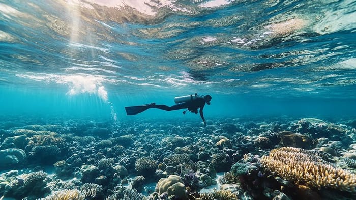 Discover top spots for snorkeling in Sri Lanka
