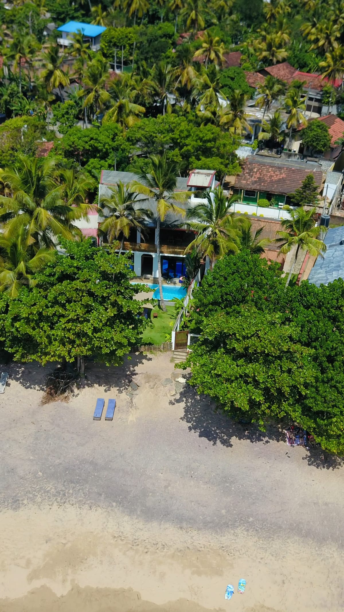 The property from above, among the coconut palms